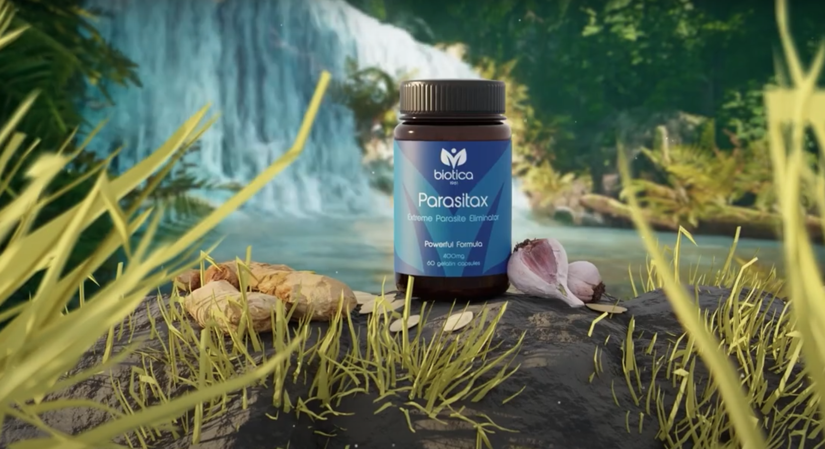 PARASITAX LIKVIDÁCIA PARAZITOV TELE